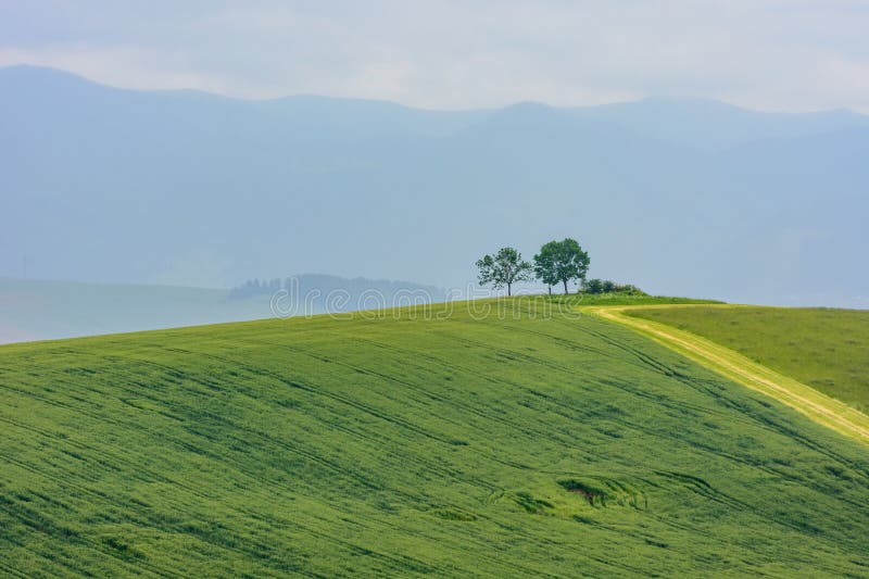 Landscape with two trees on hills