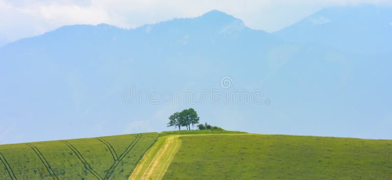 Landscape with two trees on hills