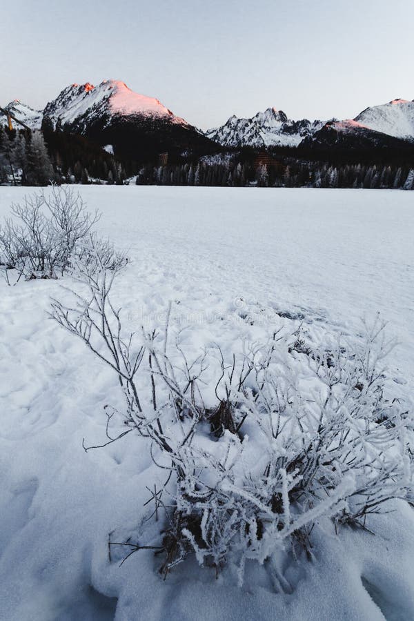 Landscape vertical photo of frozen and snow covered Strba tarn Strbske pleso in winter time. Mountains in Slovakia with frozen