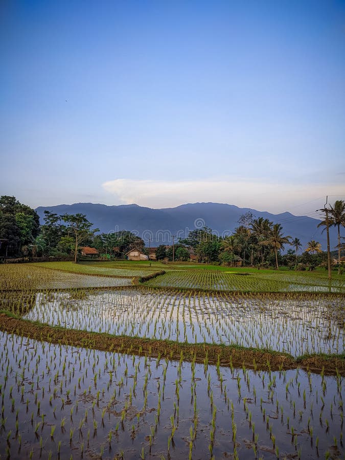 Landscape view hill royalty free stock images