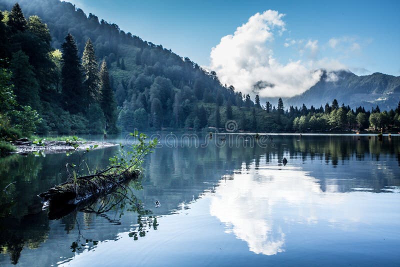 Landscape view of Karagol & x28;Black lake& x29; in Savsat,Artvin,Turkey