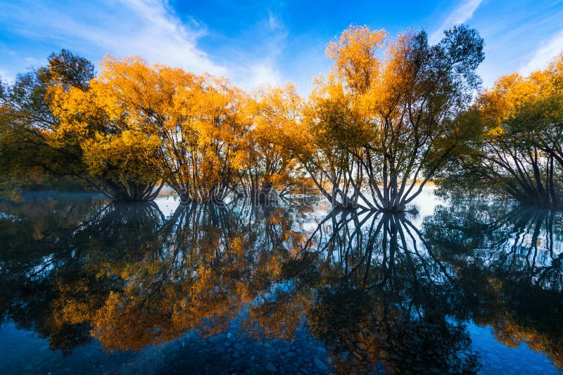 The Scene of the Autumn of Lake Tekapo