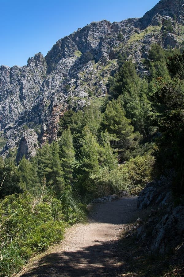 Landscape view Mallorca