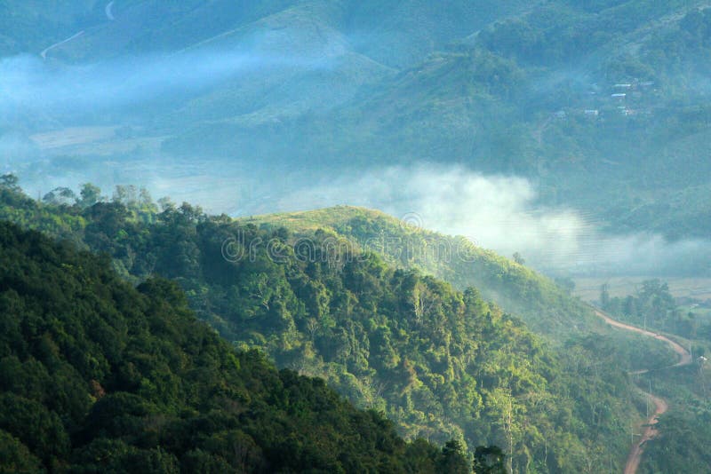 Landscape view of Nature with green forest or jungle, mist or fog, sunlight in the morning and road to small village in rural city