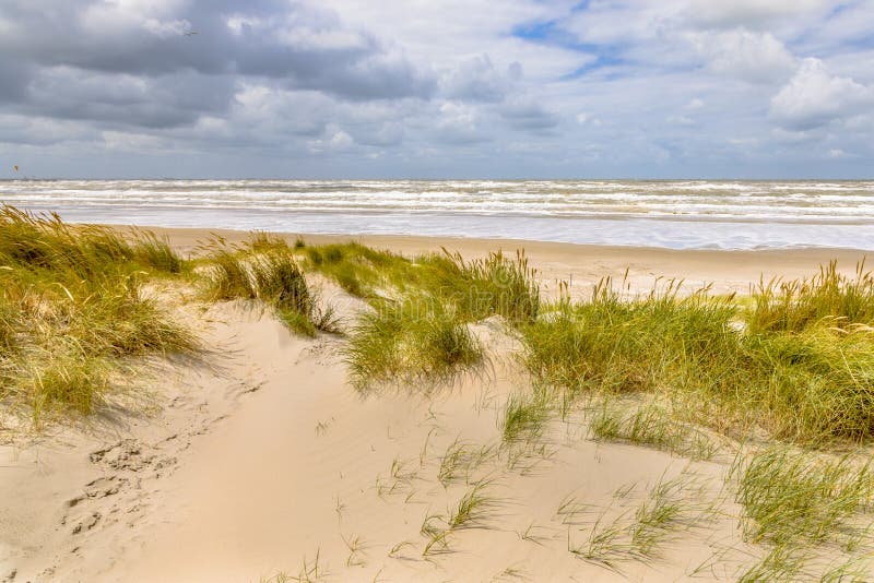 Landscape view of sand dune on the North sea coast