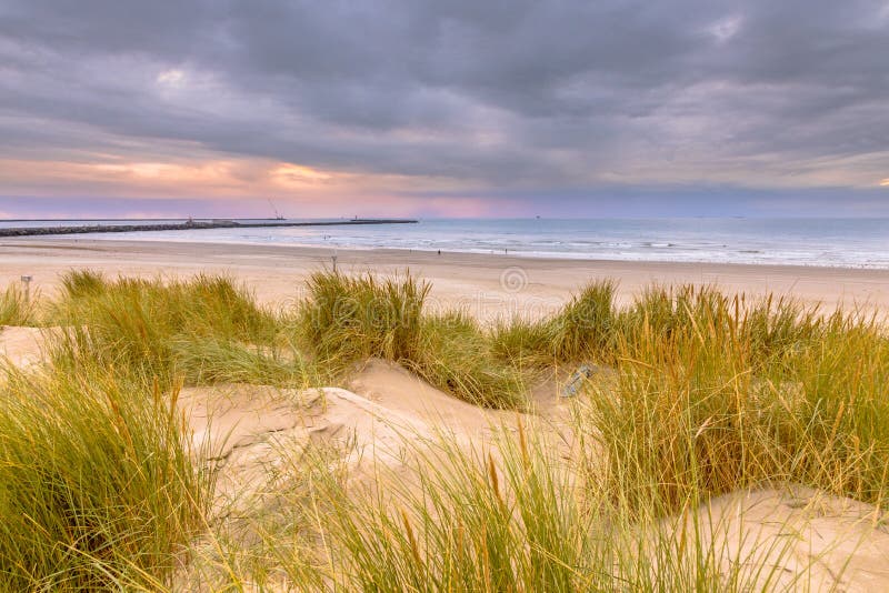 Landscape view of sand dune on the North sea coast