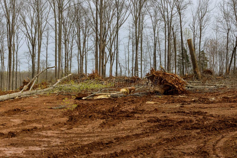Fish Out of Water: Why New England Has Been Cleared Like Never Before
