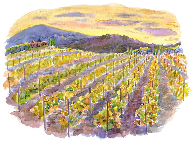 Watercolor with vineyards and mountains