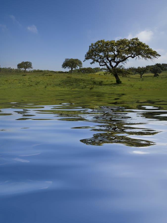 Landscape with water reflection