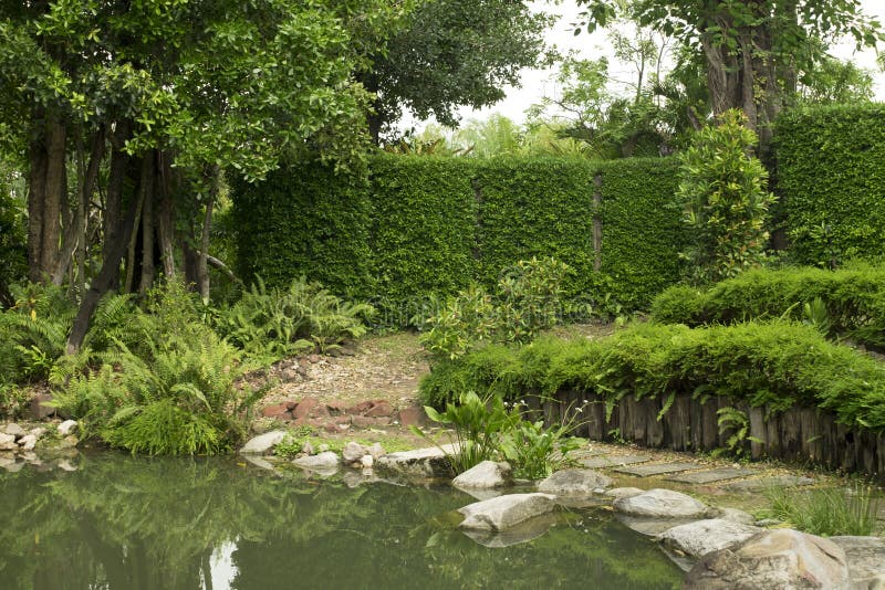 Landscape of water and tree. Background and texture of nature. royalty free stock photography