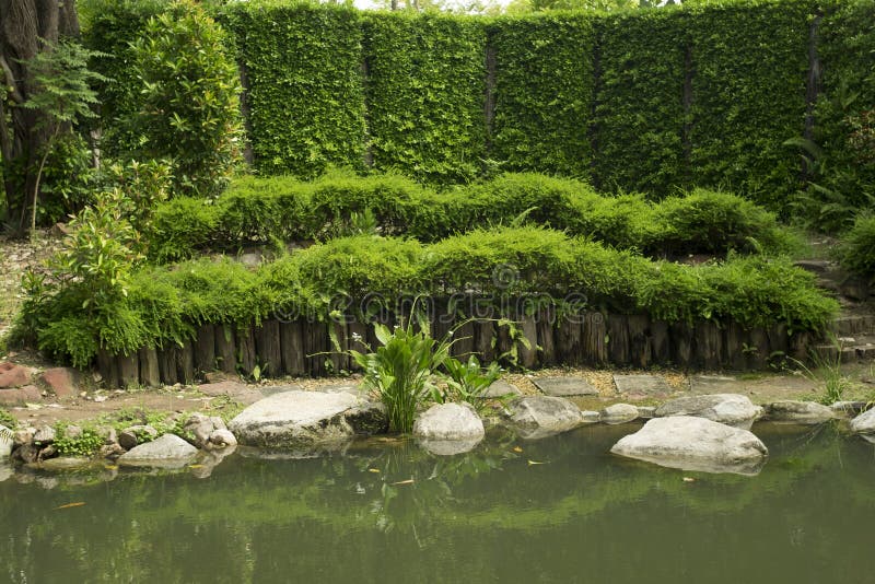 Landscape of water and tree. Background and texture of nature. stock images