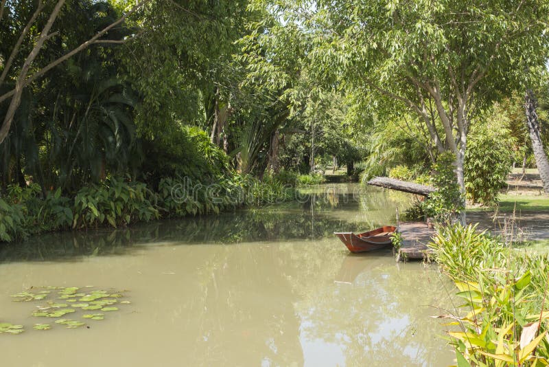 Landscape of water and tree. Background and texture of nature. stock photos