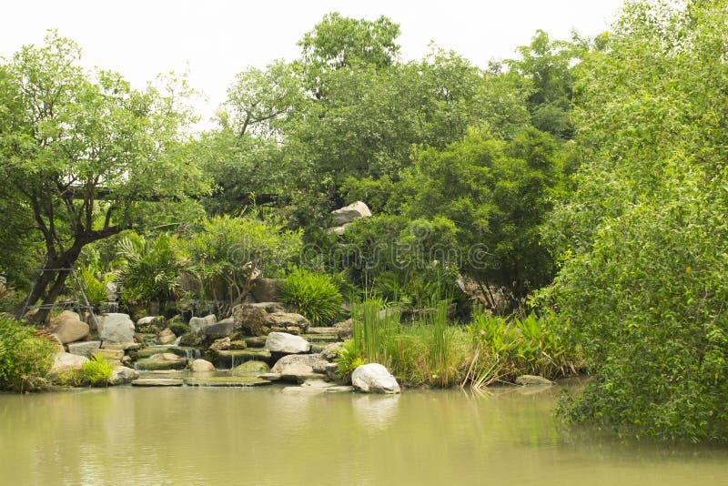 Landscape of waterfall and tree. Background and texture of nature. stock photo