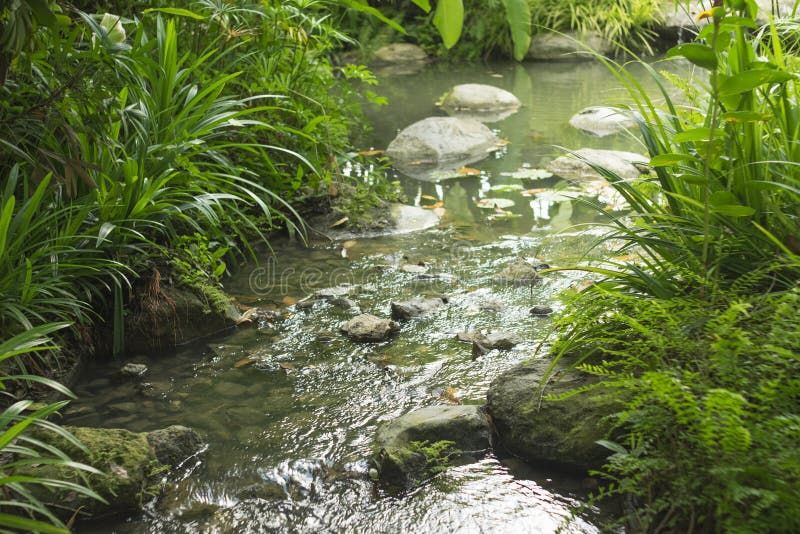 Landscape of waterfall and tree. Background and texture of nature. stock images