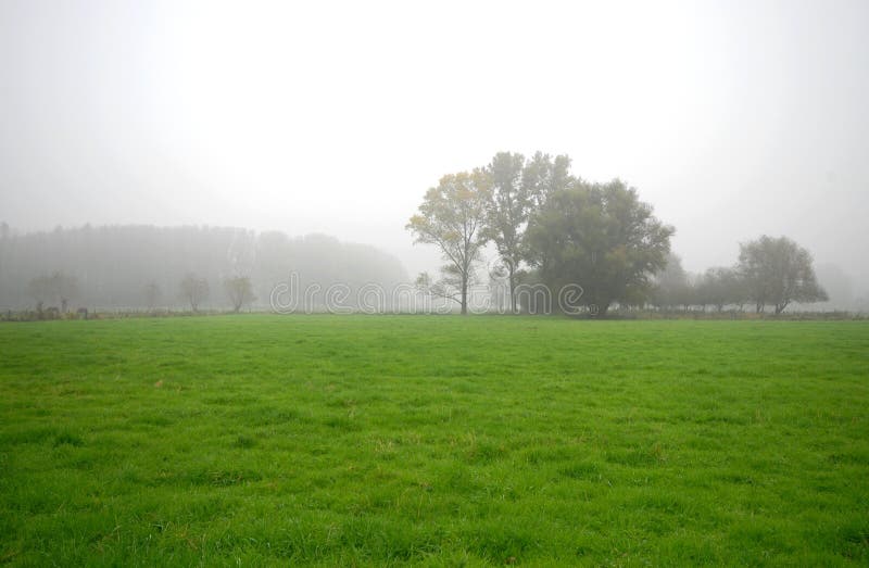 Landscape with white foggy sky