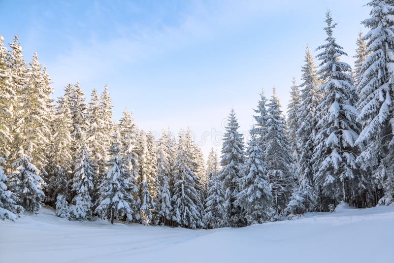 Snow Wallpaper 2