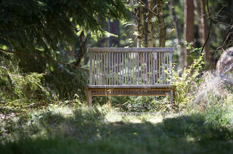 Landscape Wood Bench stock image. Image of forest, green 16118127