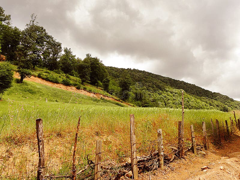 Landscape of wood hedges next to lush forest hills on a cloudy day, northern cities of Iran