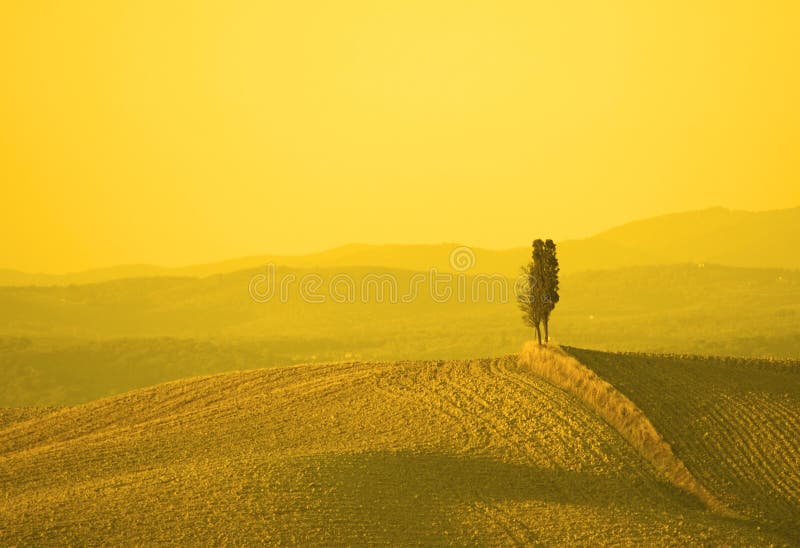 Landscape in yellow sunset light royalty free stock photography