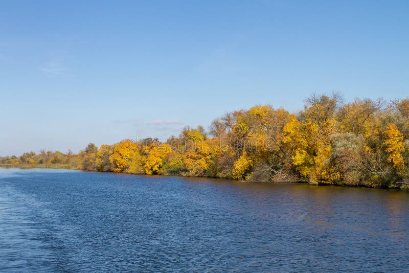 Landscape Yellow Trees on the Banks of a Large River Stock Photo