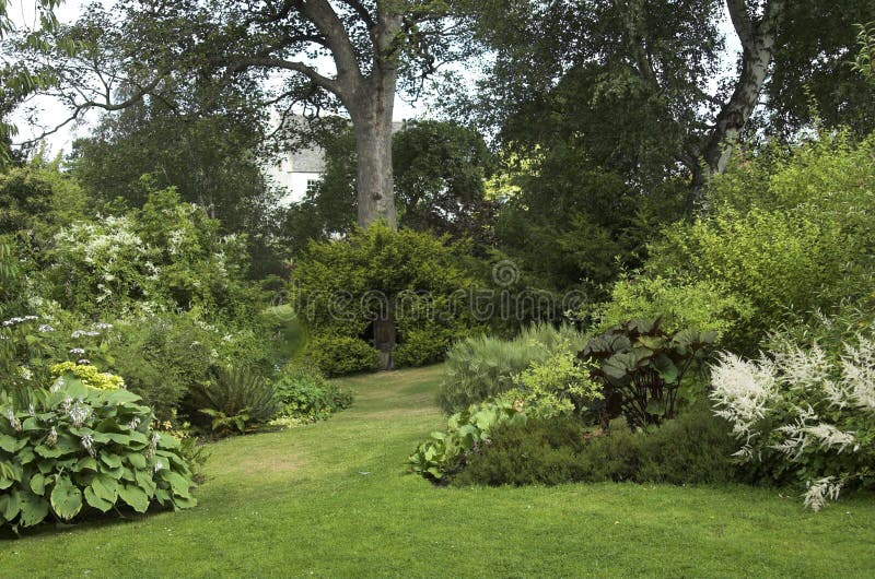 Landscaped garden with trees shrubs royalty free stock photos