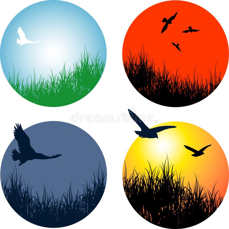 Landscapes with birds stock illustration