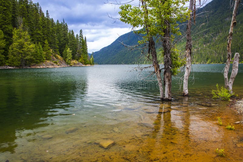 Landscapes of Kachess lake in Summer stock image
