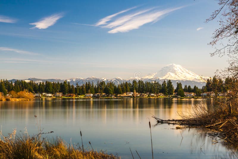 Landscapes of Lake Tapps park in Spring royalty free stock images