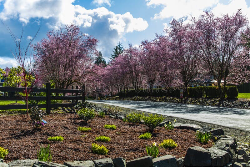 Landscapes of Lake Tapps park in Spring royalty free stock photography