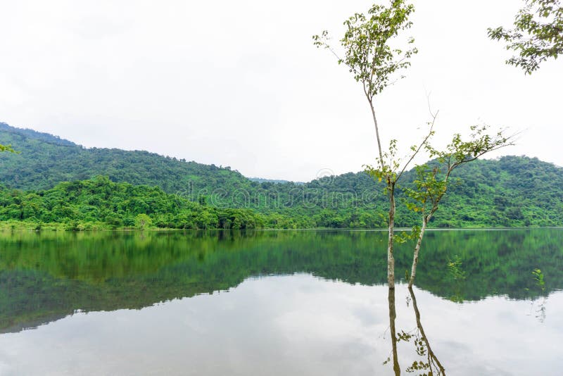 Landscapes lake in thailand stock images
