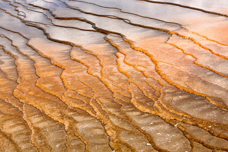 Landscapes of yellow stone national park