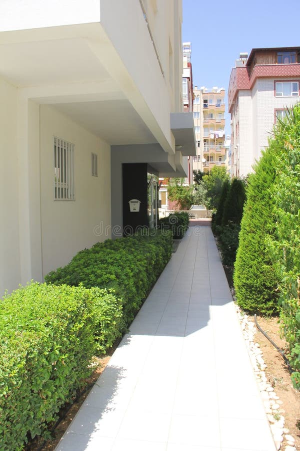 Landscaping of the Courtyard Area with Paving Slabs and Green Plants