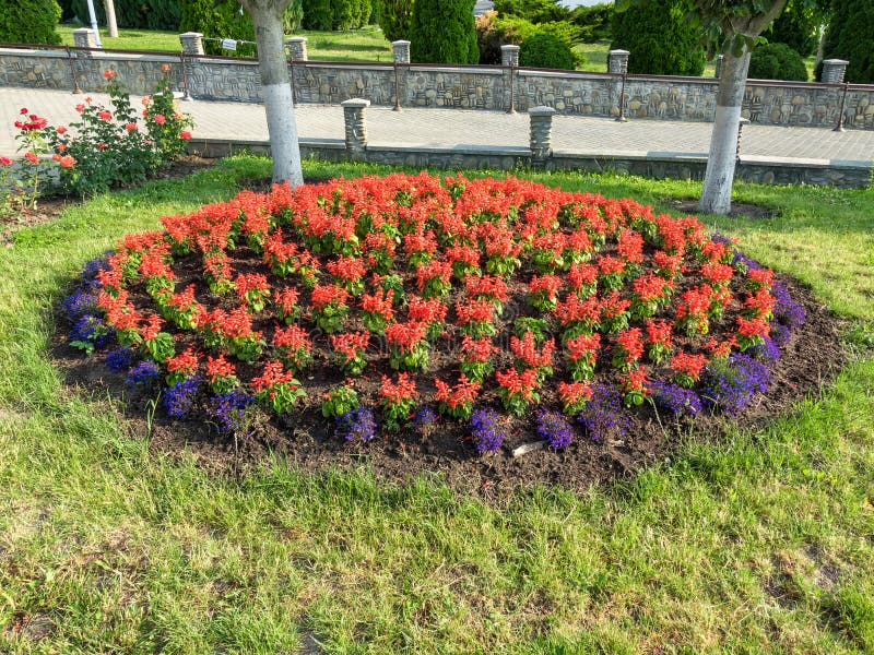 Landscaping flower beds royalty free stock photo Landscaping flower beds royalty free stock photo
