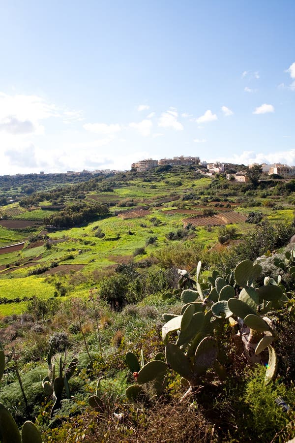 Landschaft in der Gozo Insel, Malta lizenzfreies stockfoto Landschaft in der Gozo Insel, Malta lizenzfreies stockfoto