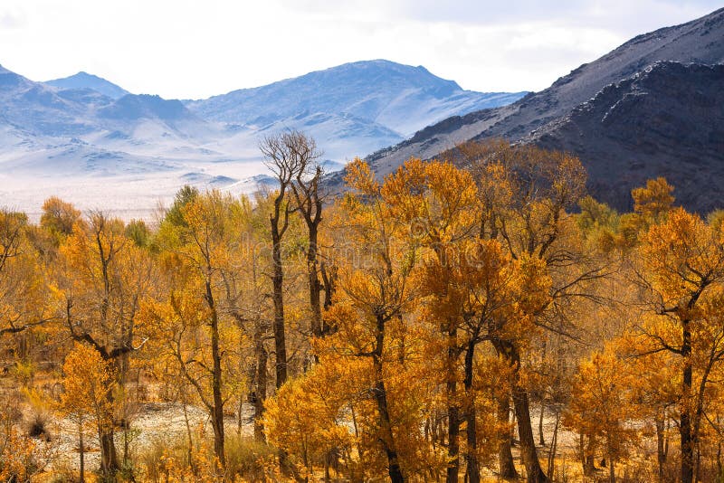 Landschaft der mongolischen Vorberge im Herbst nave lizenzfreie stockfotos Landschaft der mongolischen Vorberge im Herbst nave lizenzfreie stockfotos