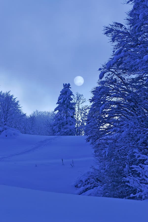 Landscape of mountain snow-covered in the brown. Landscape of mountain snow-covered in the brown