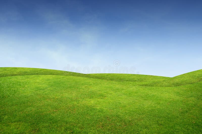 Grüne Graslandschaft stockfotografie