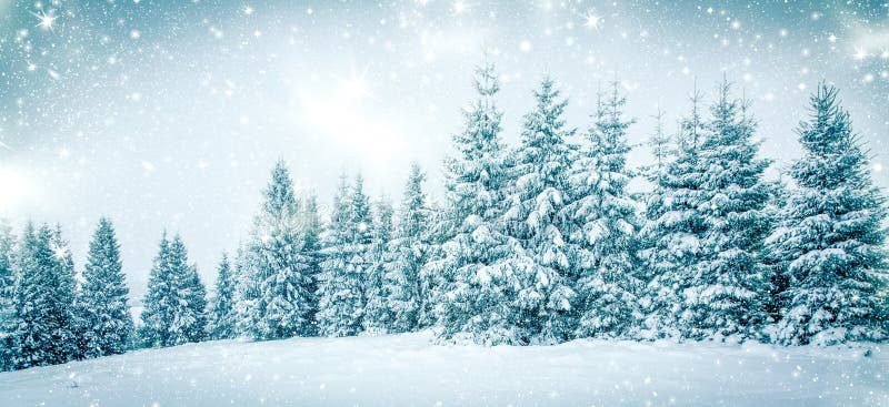 Landschaft des verschneiten Winters stockfoto Landschaft des verschneiten Winters stockfoto