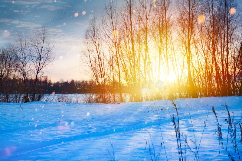 Landschaft des verschneiten Winters Weihnachts; Sonnenuntergang über der Schneewiese