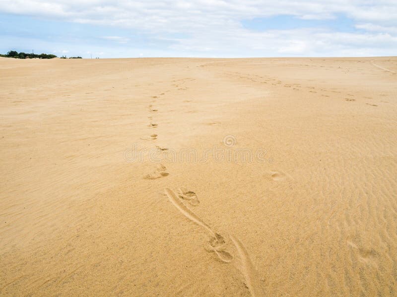 Landschaft von Jockey ` s Ridge State Park lizenzfreies stockfoto Landschaft von Jockey ` s Ridge State Park lizenzfreies stockfoto