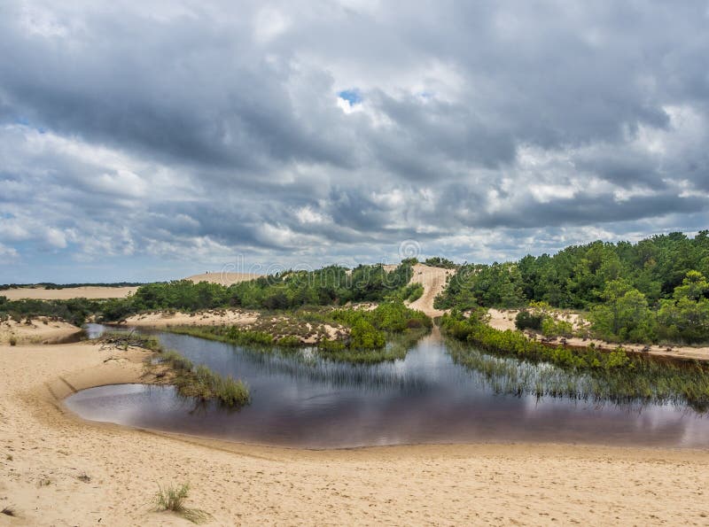 Landschaft von Jockey ` s Ridge State Park lizenzfreies stockbild Landschaft von Jockey ` s Ridge State Park lizenzfreies stockbild