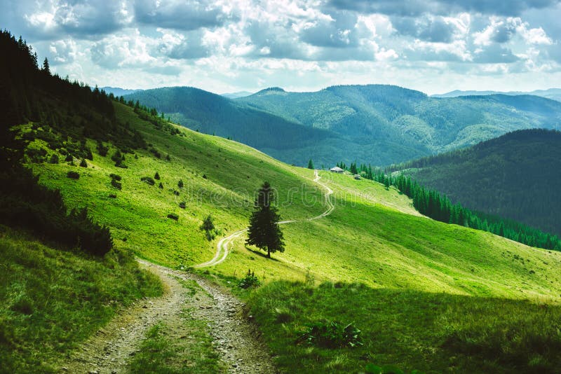 Landschaft von Sommerbergen, grüne Steigungen der Karpaten lizenzfreie stockfotografie Landschaft von Sommerbergen, grüne Steigungen der Karpaten lizenzfreie stockfotografie