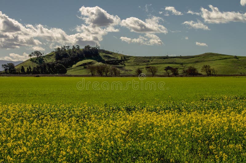 Landschaften nach dem Regen kommt eine Andeutung des Frühlinges an lizenzfreies stockfoto Landschaften nach dem Regen kommt eine Andeutung des Frühlinges an lizenzfreies stockfoto