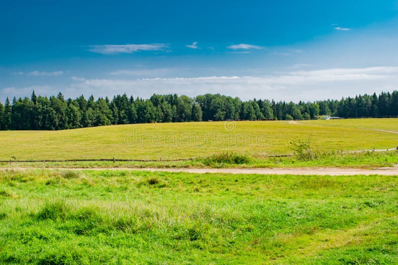 Landschaftswiesen-Waldfeld im ländlichen mestnosti lizenzfreie stockfotografie Landschaftswiesen-Waldfeld im ländlichen mestnosti lizenzfreie stockfotografie