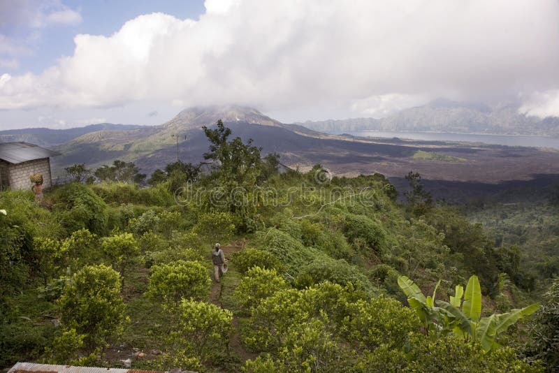 Landschap Bali stock afbeeldingen