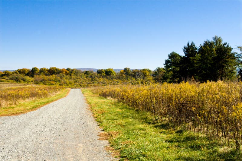 Beautiful early autumn landscape at the Virginia State Arboretum -- Blandy Experimental Farm. Beautiful early autumn landscape at the Virginia State Arboretum -- Blandy Experimental Farm.