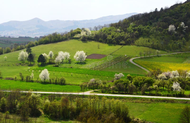 Landschap in de lente royalty-vrije stock foto