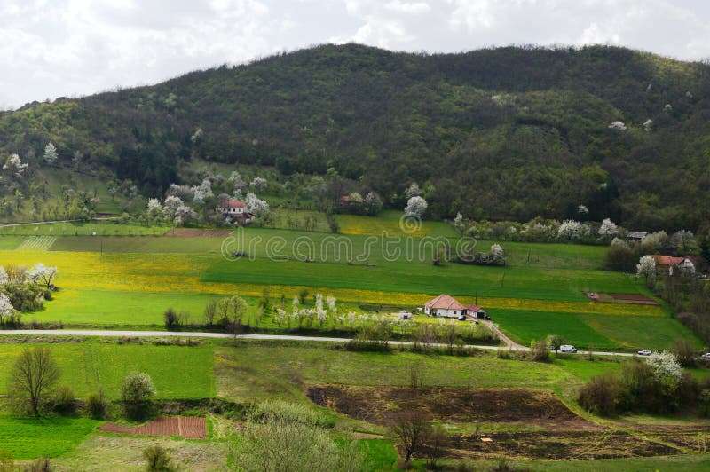 Landschap in de lente royalty-vrije stock foto's