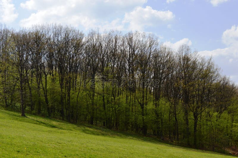 Landschap in de lente royalty-vrije stock afbeeldingen