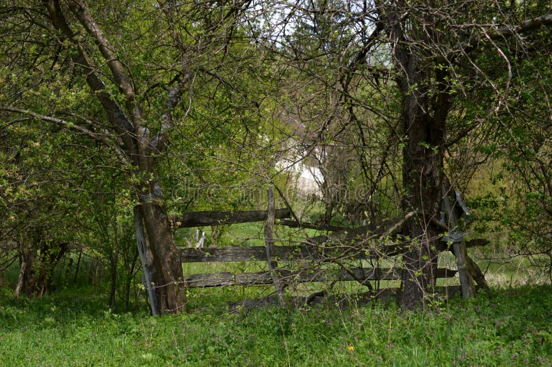 Landschap in de lente royalty-vrije stock foto's